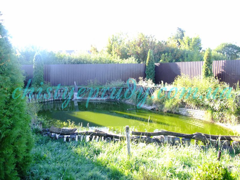 Плавательный пруд на участке с высоким уровнем грунтовых вод