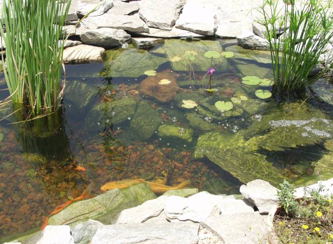 Создание чаши при строительстве искусственного водоема Строительство искусственного водоема
